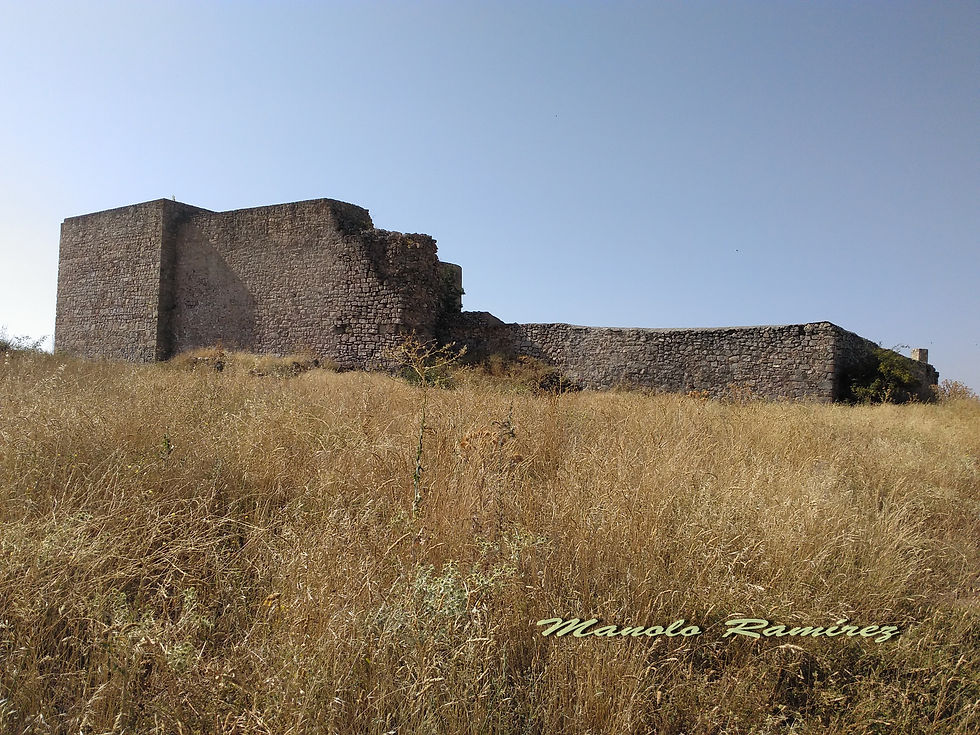 Medinaceli. Castillo (24.08.2 (1)