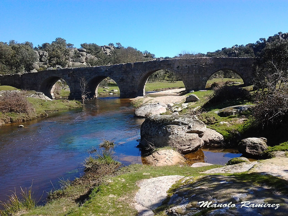 Ledesma. Puente Mocho (2)