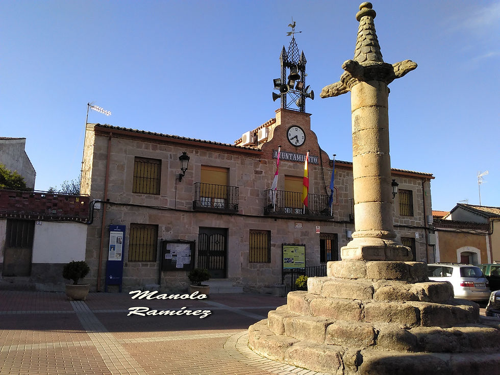 San_Román_de_los_Montes._Picota_(29