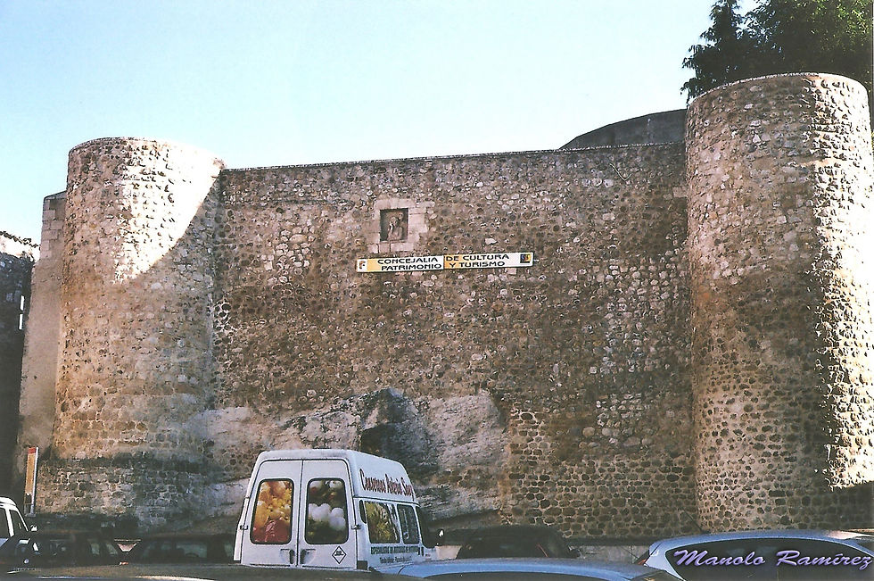 Medina de Pomar. Muralla (P) 001