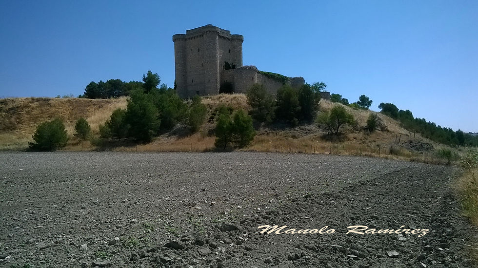 Seseña._Castillo_de_Puñoenrostro_(16)