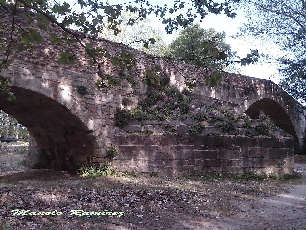 Talamanca del Jarama. Puente romano (14.04.2017) (5)