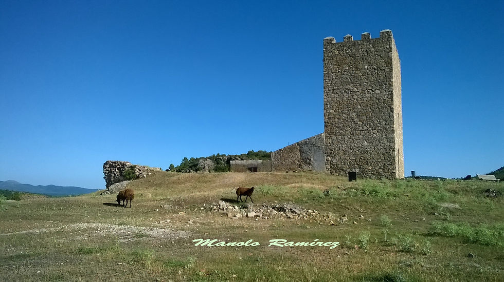 Henarejos. Castillo (26.06 (15)