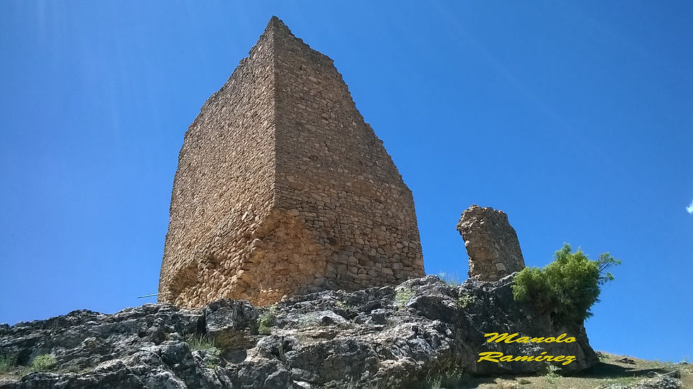 Pajarón. Castillo (26.06.2 (16)