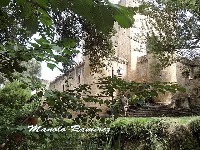 Sajazarra. Castillo. 2015 (3)