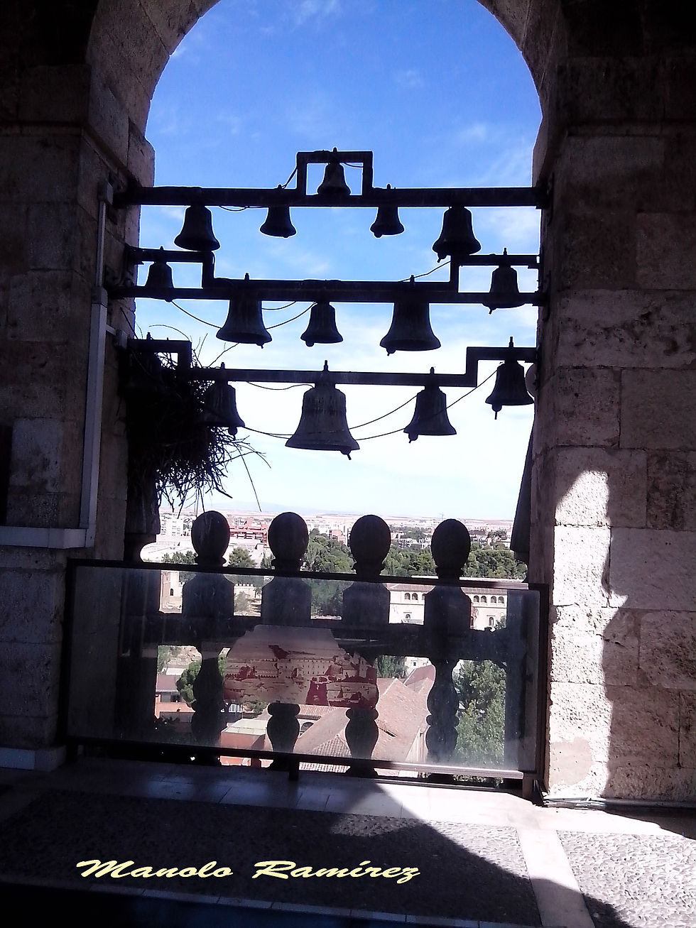 Alcalá de Henares. Catedral (7)