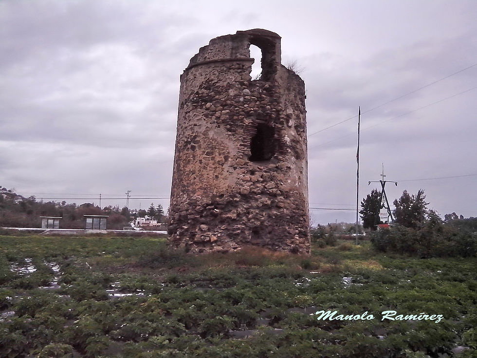 Almayate Alto. Torre Manganeta (21.03.2016) (4)