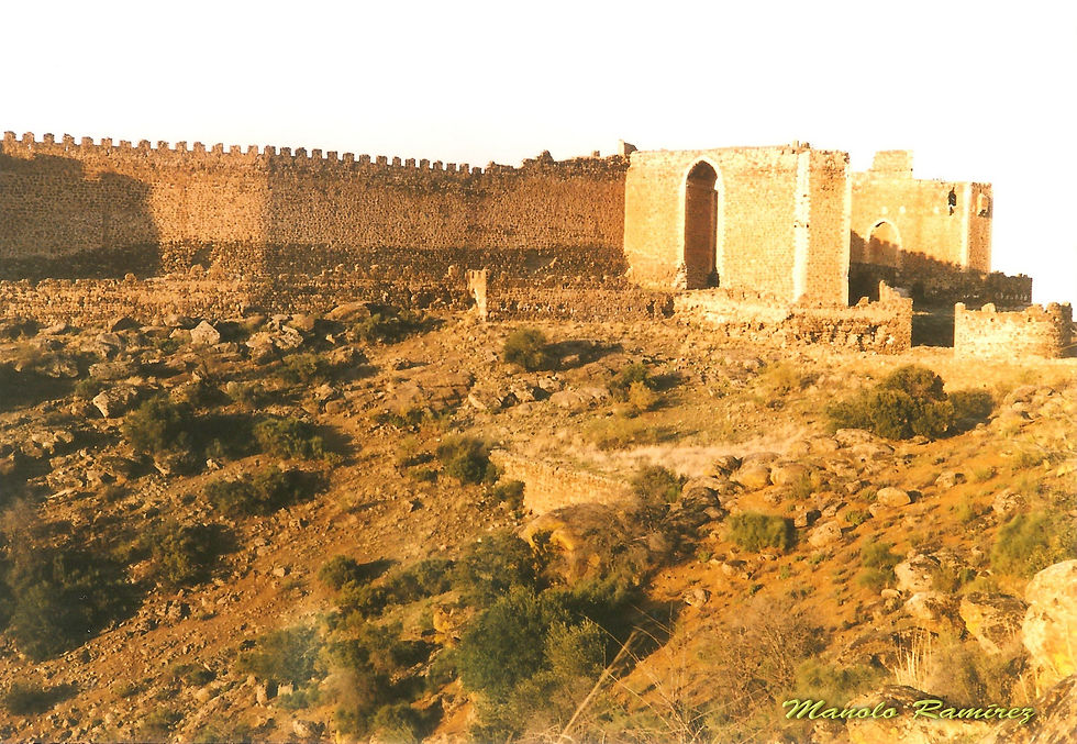 San Martin de Montalban. Castillo (P) 001 (2)