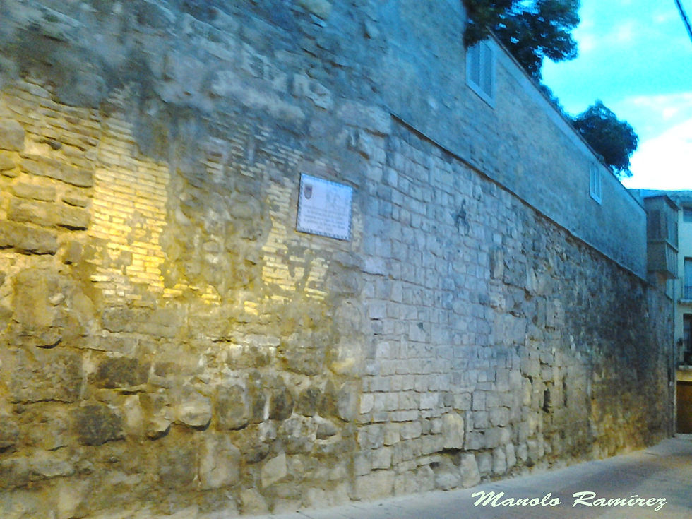 Tudela. Lienzo de la Muralla