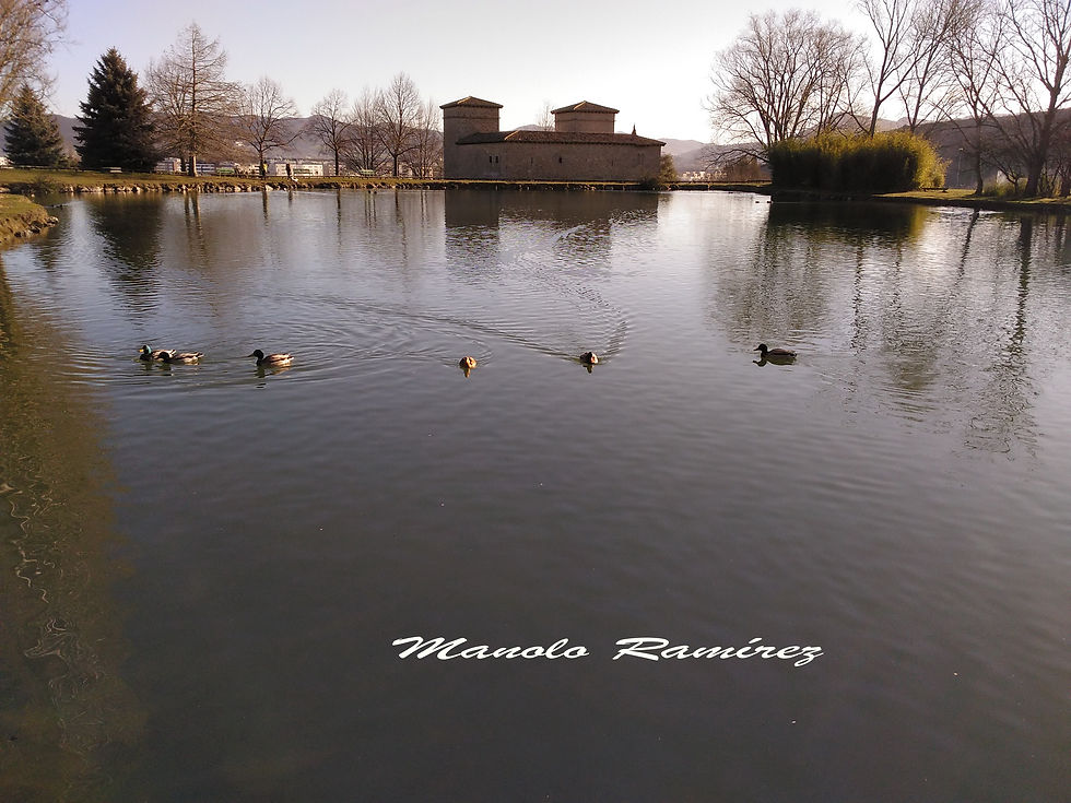 Pamplona. Palacio de Mendillorri (12