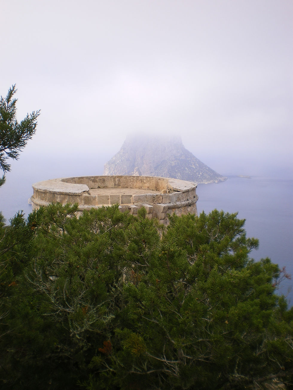 Torre des Sabinar (P) (7)