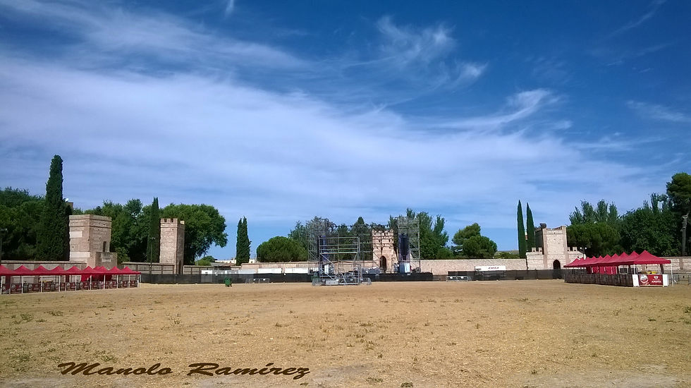 Alcalá_de_Henares_._Recinto_amurallado_(5)