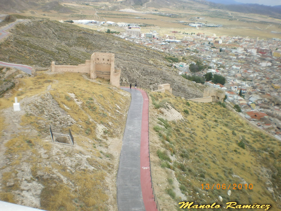 Jumilla. Alcazaba (P) (2)
