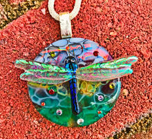 Dragonfly Garden