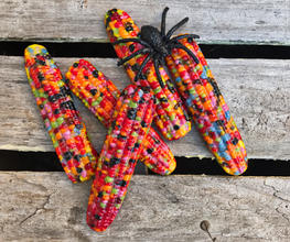 Calico Corn