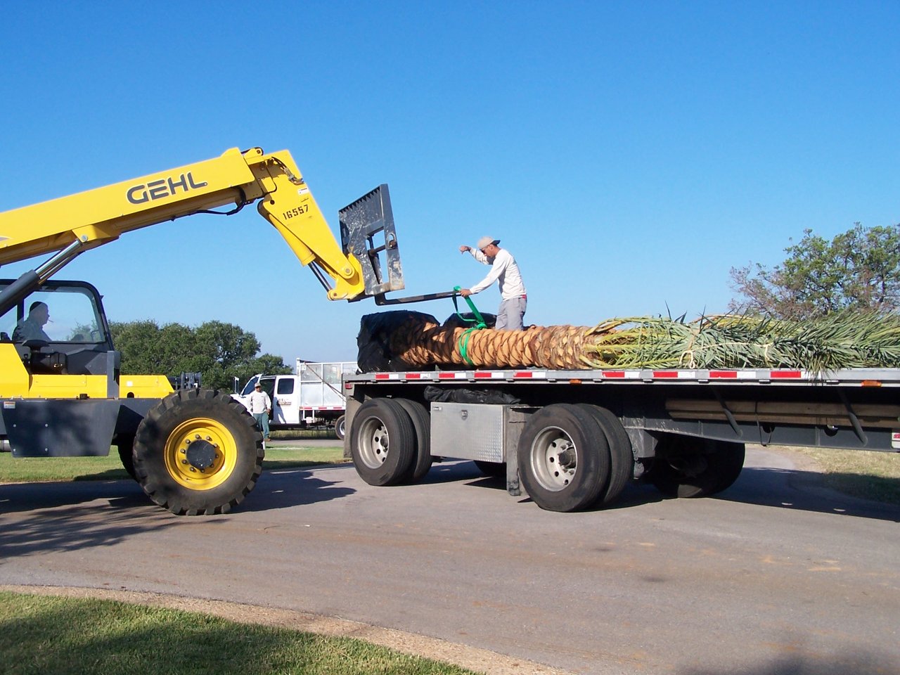 peggybackyardconstruction022.jpg