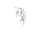 An image of sage leaves bending to the right