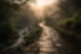 PATH image.jpg