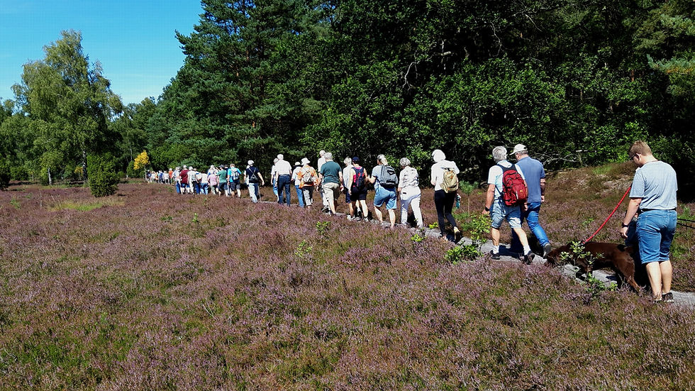 Menschen wandern in der Heide