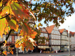 Herbst in Celle