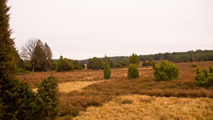 Wanderungen des TuS Hermannsburg