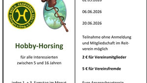 Hobby-Horsing in Eicklingen: Schnuppertraining für Kinder und Jugendliche