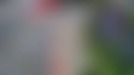 Stolperkanten Kreuzung Harburger Straße Ecke John-Busch-Straße rückgebaut