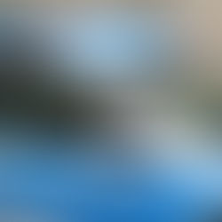 Nach einem räuberischen Diebstahl greift der Täter Polizeibeamte an