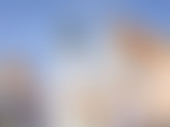 Kulturgenuss in Celle – exklusive Angebote für Übernachtungsgäste