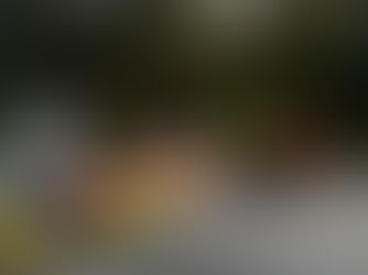 FW Wathlingen: Behälter mit unbekanntem Stoff im Wald aufgefunden