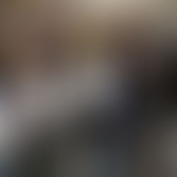 Oberschule Welfenallee: Leseratten hereinspaziert!