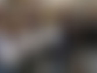 Oberschule Welfenallee: Leseratten hereinspaziert!