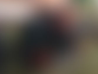 Internationaler Museumstag im Dorfmuseum Langlingen