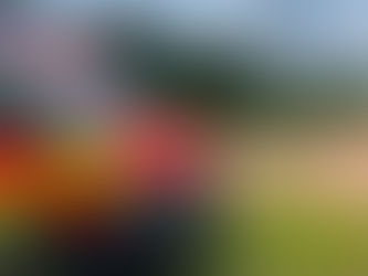 Mann steckt bei Hunderettung im Schlamm fest – Feuerwehr im Einsatz