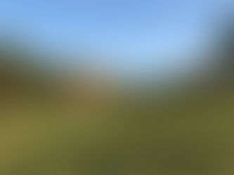 Reitverein Eicklingen veranstaltet Hubertus-Jagd