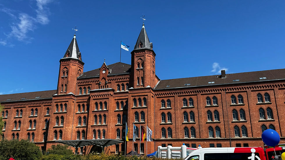 Feiern im Stadtpark, Foto: Stadt Celle