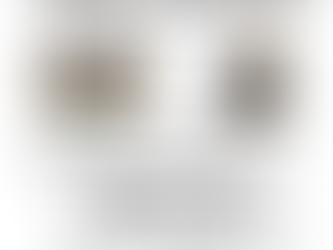 Pferde hautnah erleben – Ferienangebot für Kinder im MehrGenerationenHaus