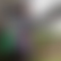 7. bis 9. November: Das ist am Wochenende in Celle los