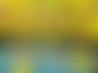 Tischtennis: Frankfurt – Celle 2:6