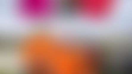 Triathleten aus dem Landkreis Celle erfolgreich beim Cross-Duathlon Helmstedt