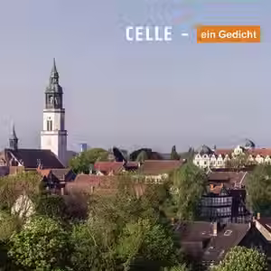 Kolumne Celle – ein Gedicht, Folge 5: »Herbe Blume«