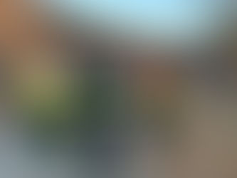 Bombenfund auf Baufeld bei der Firma Rheinmetall Unterlüß