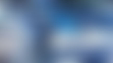 Ladendiebe auf der Flucht erwischt