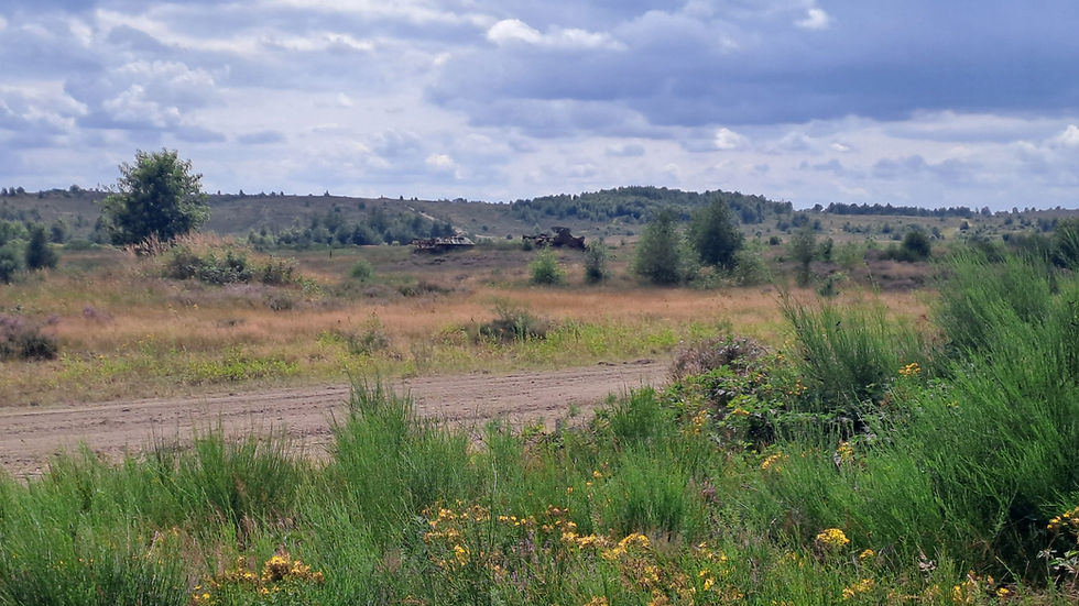 Karge Landschaft