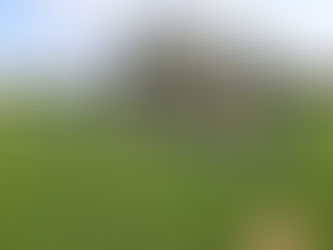 Tag der offenen Tür im Westerceller Sportpark: VfL feiert 75. Geburtstag mit großem Sportfest und Flohmarkt