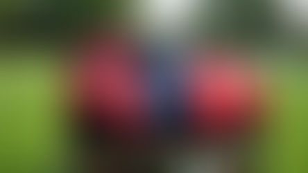 SC Vorwerk mit Kunstrasenprojekt auf der Zielgraden