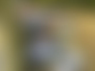 Müll neben Containern