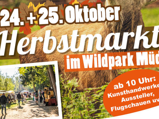 Kunsthandwerk, regionale Produkte und tierische Erlebnisse: Herbst im Wildpark