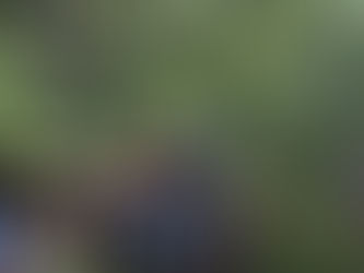 Natur mit allen Sinnen erleben: Woche der Natur begeistert Kinder und Erwachsene