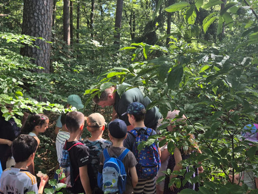Natur mit allen Sinnen erleben: Woche der Natur begeistert Kinder und Erwachsene